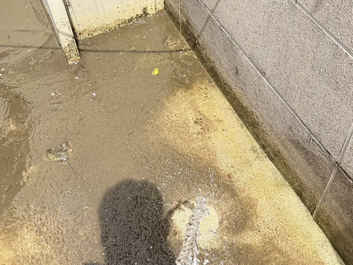 태백시 창죽동 배관 관리실·기계실 위생청소 사례 - 행진크린